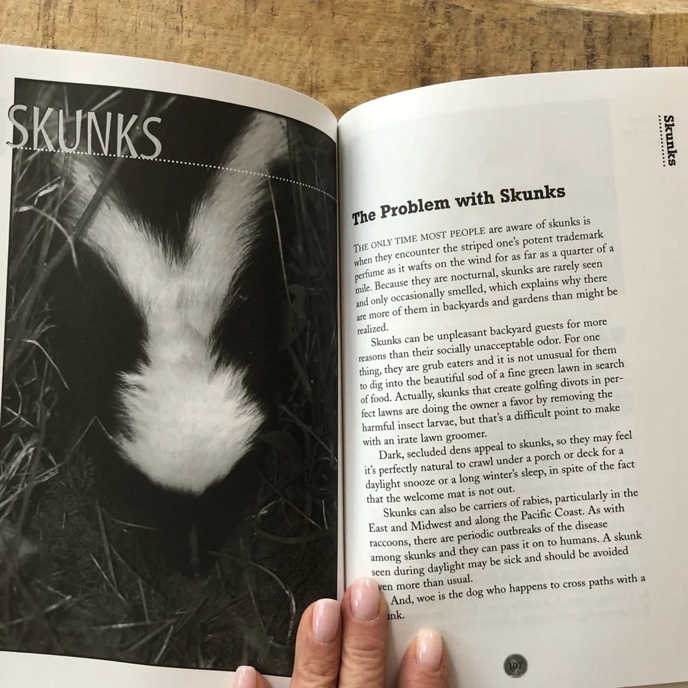 “Squirrel Wars: backyard wildlife battles and how to win them” illustrated book - Picture 8 of 12